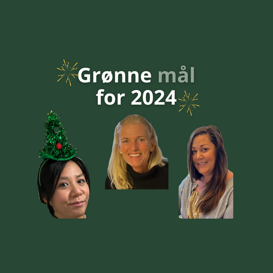 Grønne nyttårsforsetter og mål for 2024