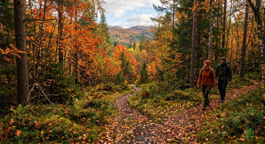 Gjør høstferien litt mer magisk  – Prøv våre bingokort! 🍂🍁